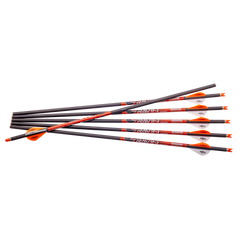 Ravin .003 Carbon Arrows